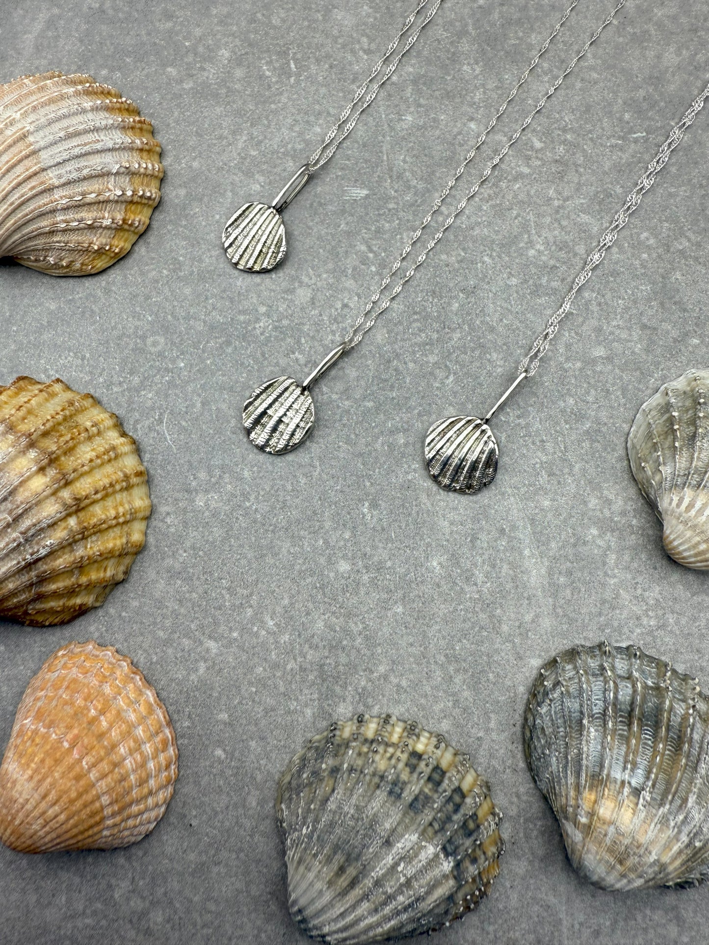Silver shell pendant necklace on a grey surface with seashells