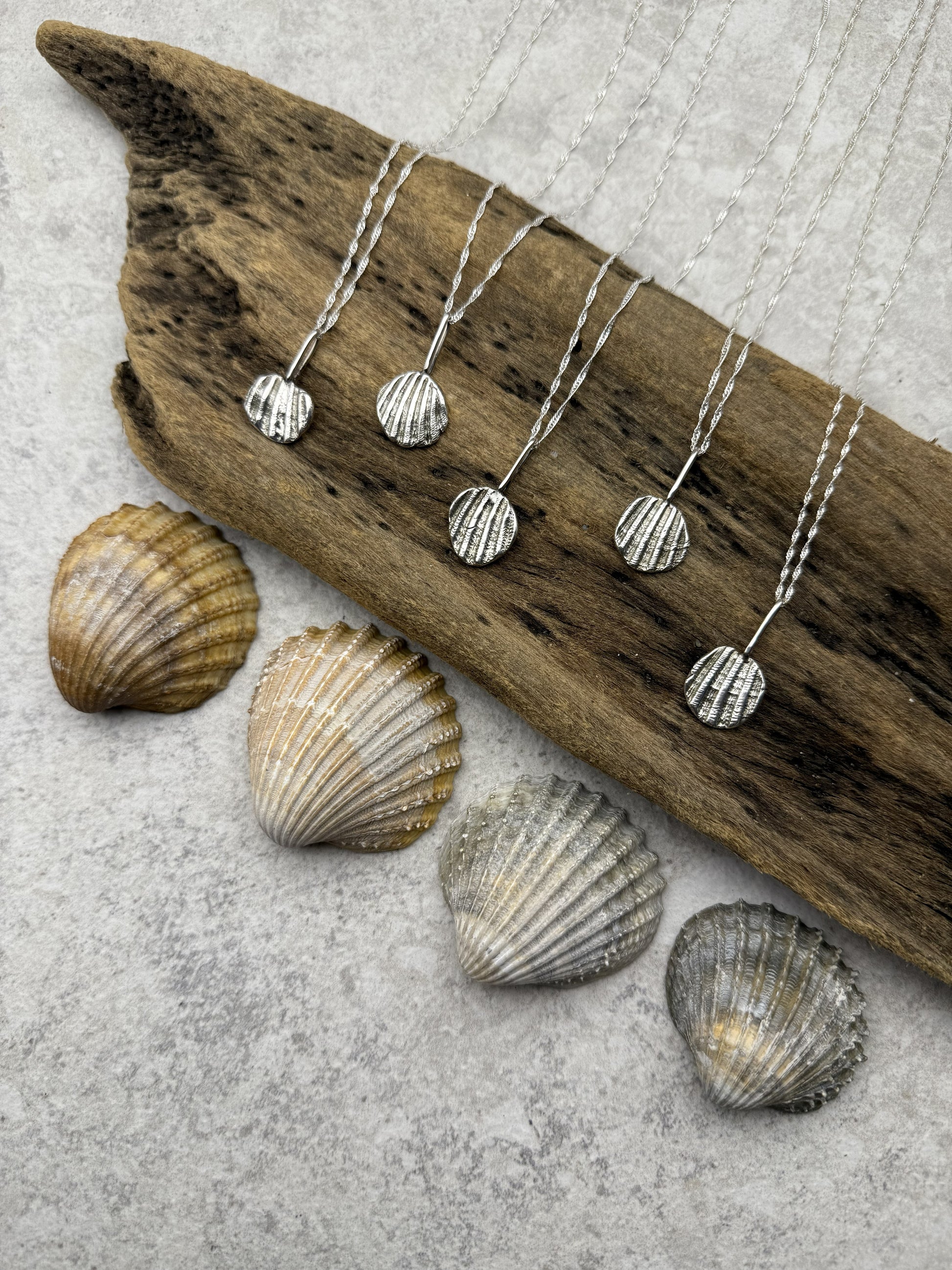 Silver shell necklaces on a wooden stick with seashells below