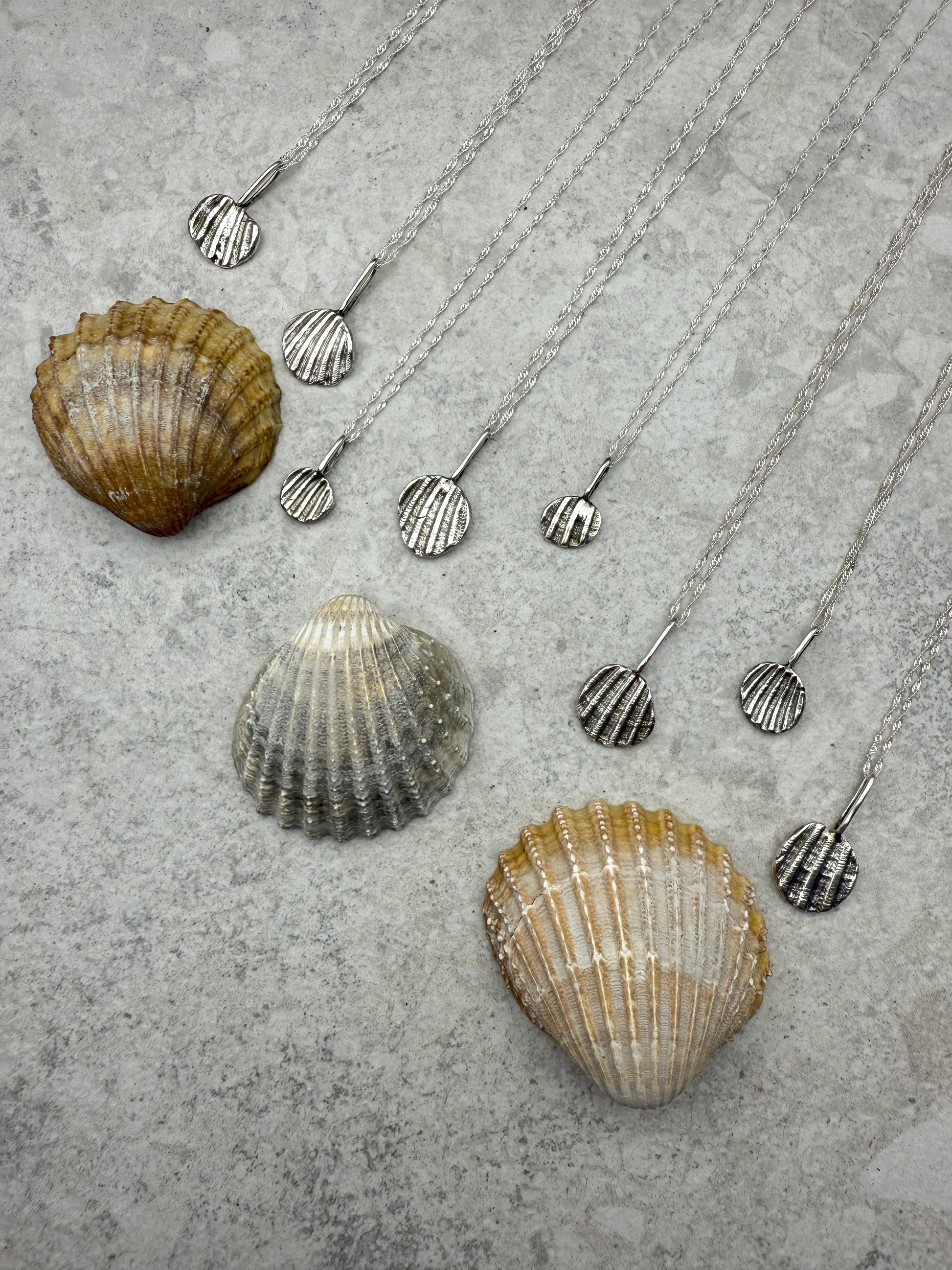 Silver shell necklaces on a textured surface with natural shell samples.