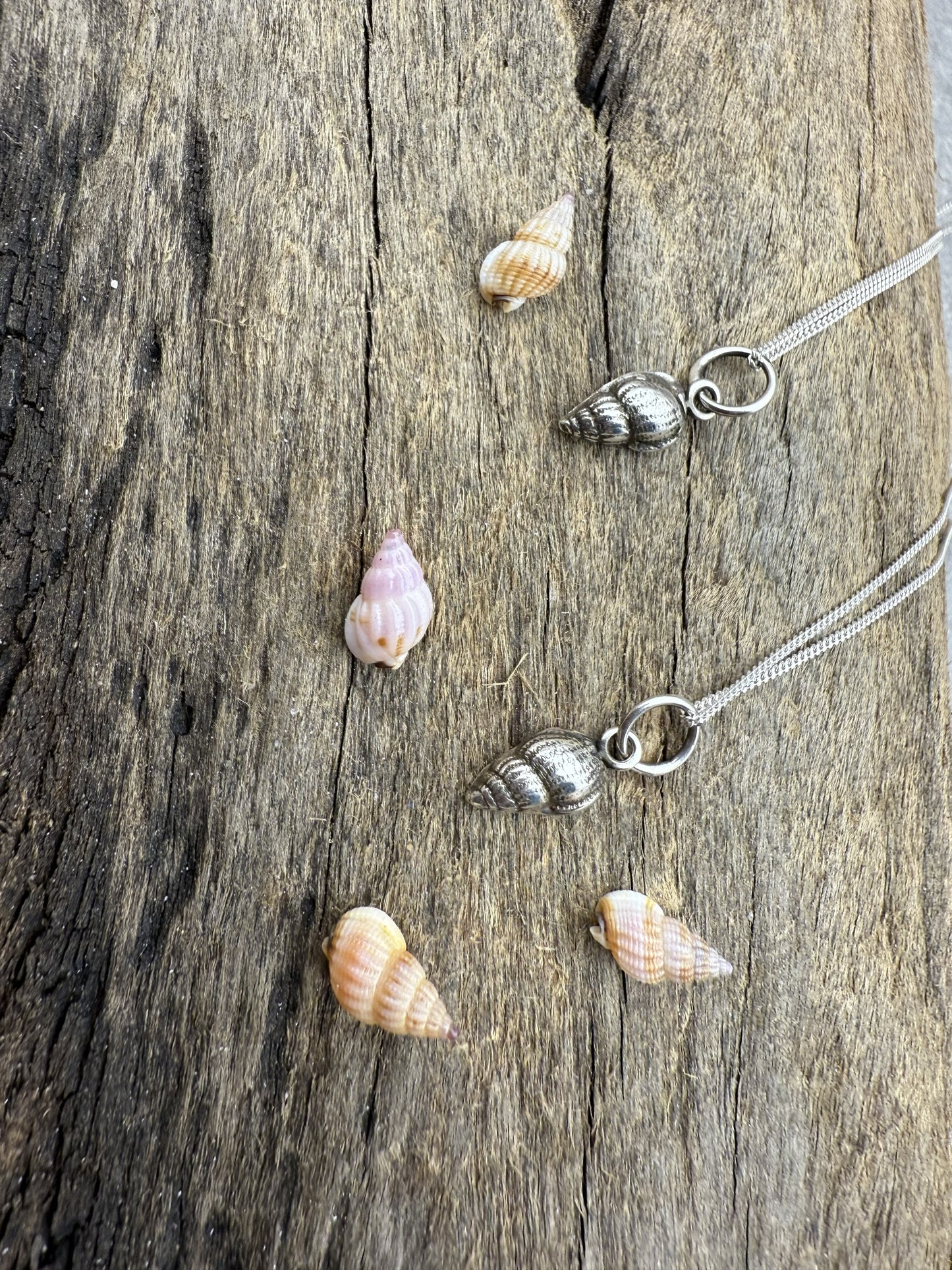 Silver shell pendant necklace on a wooden surface with seashells.