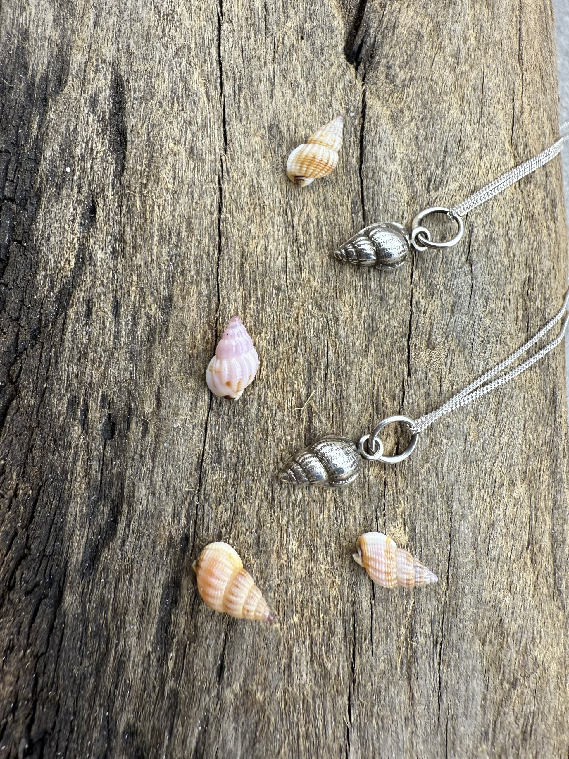 Silver shell pendant necklace on a wooden surface with seashells.