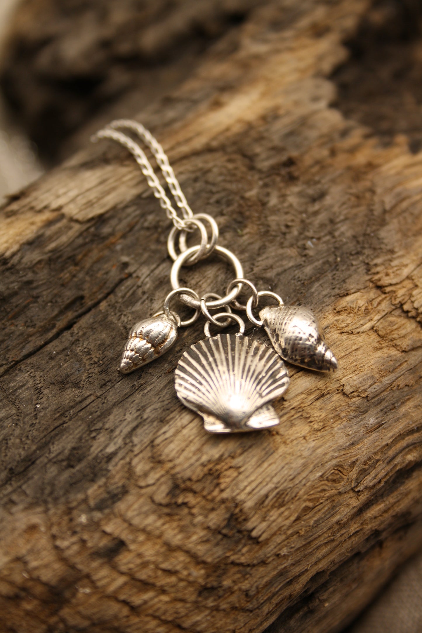 Silver necklace with shell charms on a wooden surface