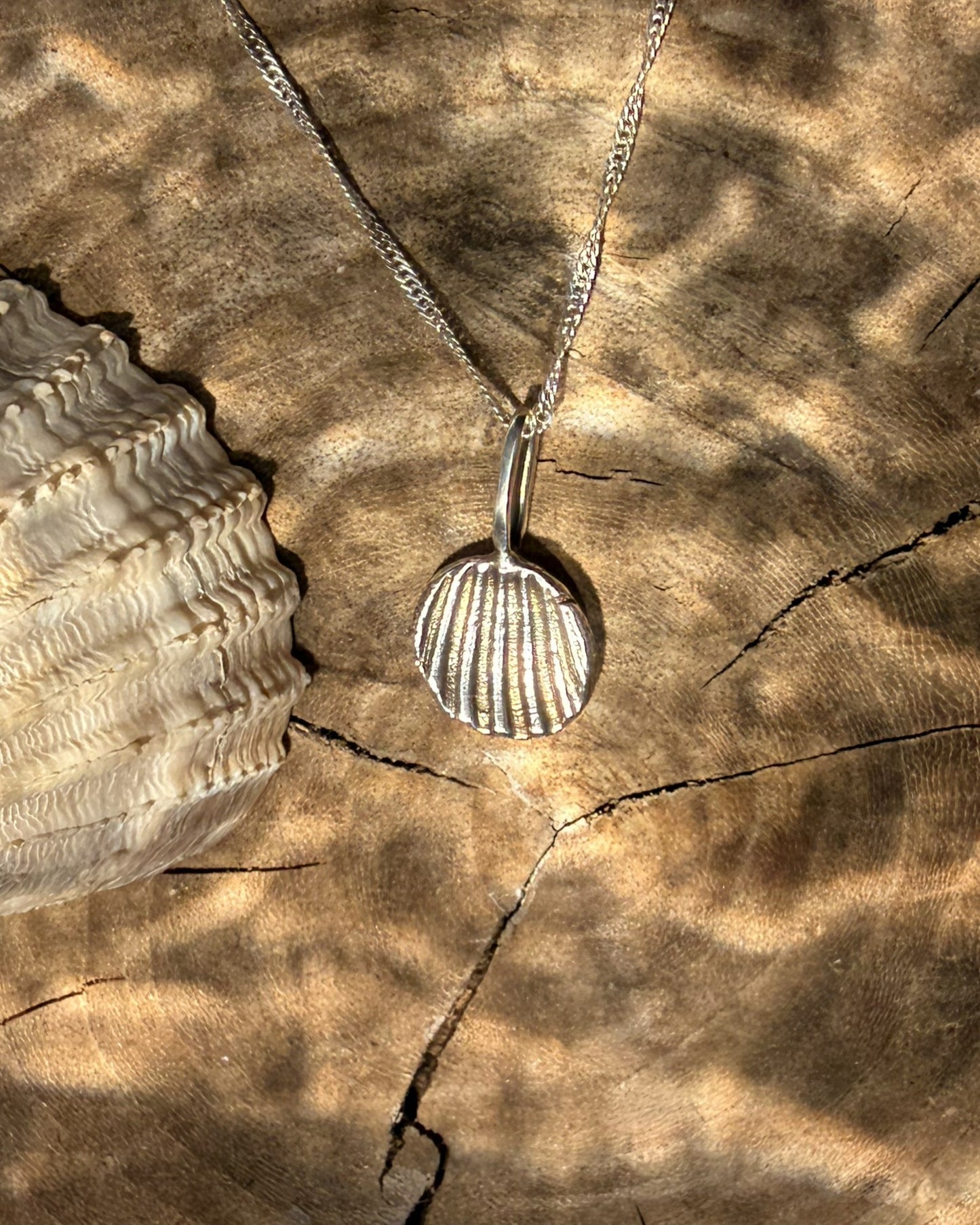 Silver shell pendant necklace on a textured brown surface with a shell.