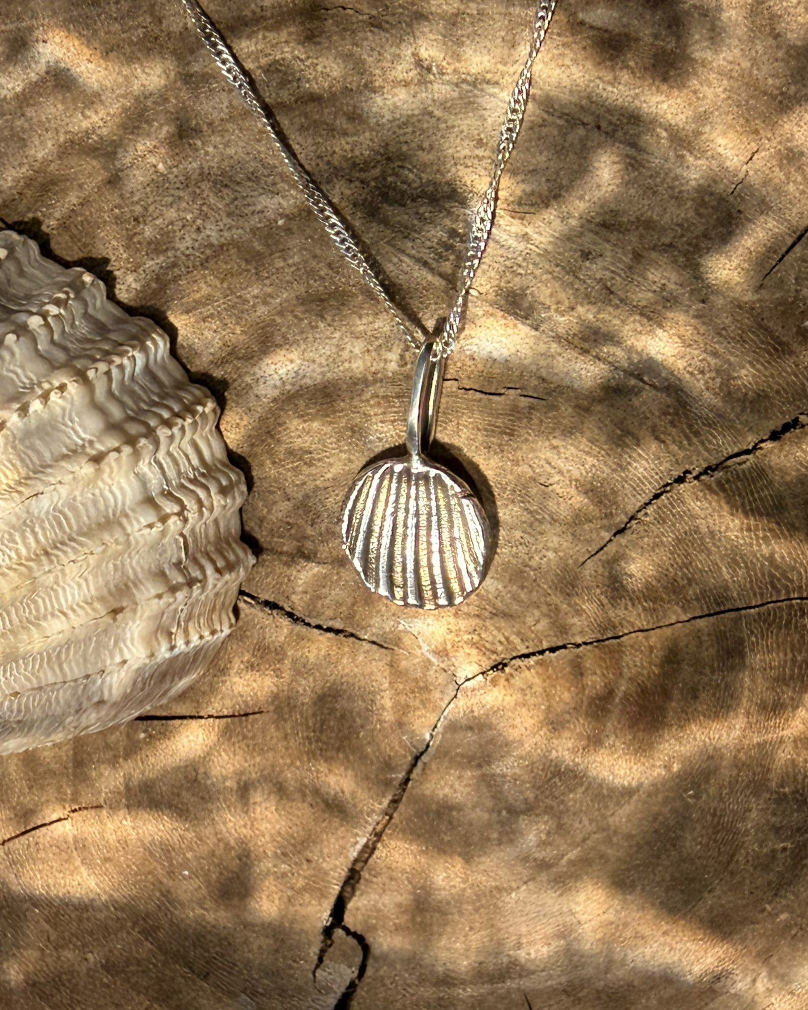 Silver shell pendant necklace on a textured brown surface with a shell.