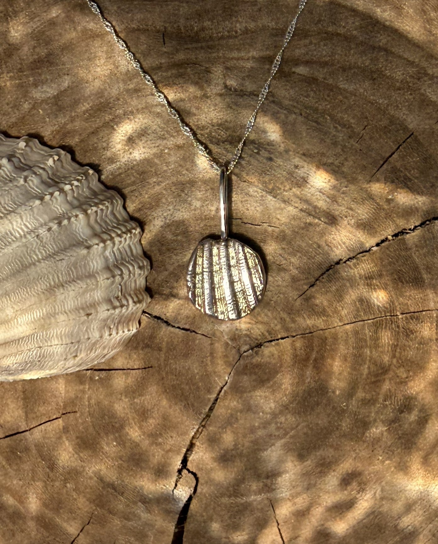 Silver shell pendant on a chain with a shell beside it on a wooden surface