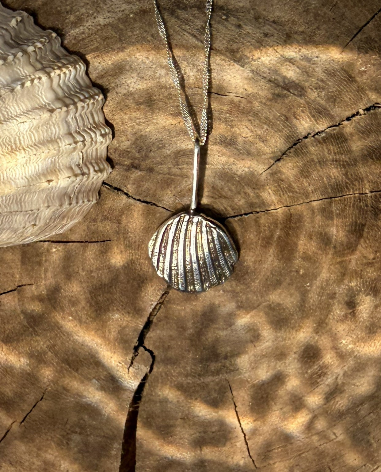 Silver shell pendant on a chain lying on a wooden surface with a shell beside it.