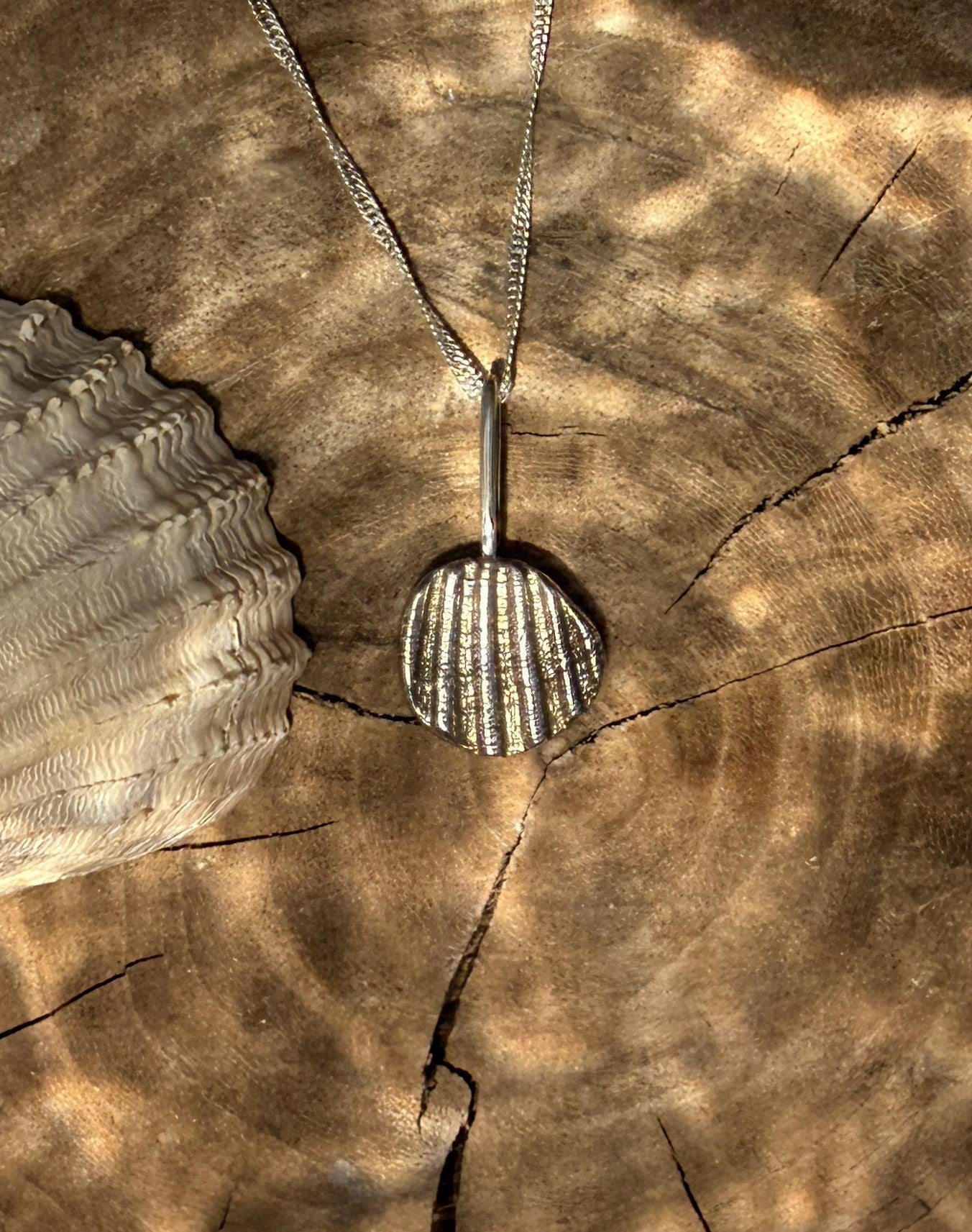 Silver pendant on a chain against a wooden background