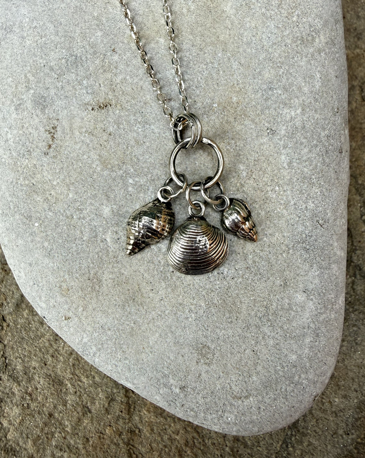 A silver-toned shell charm necklace featuring three seashell pendants on a matching chain, displayed on a smooth gray stone.