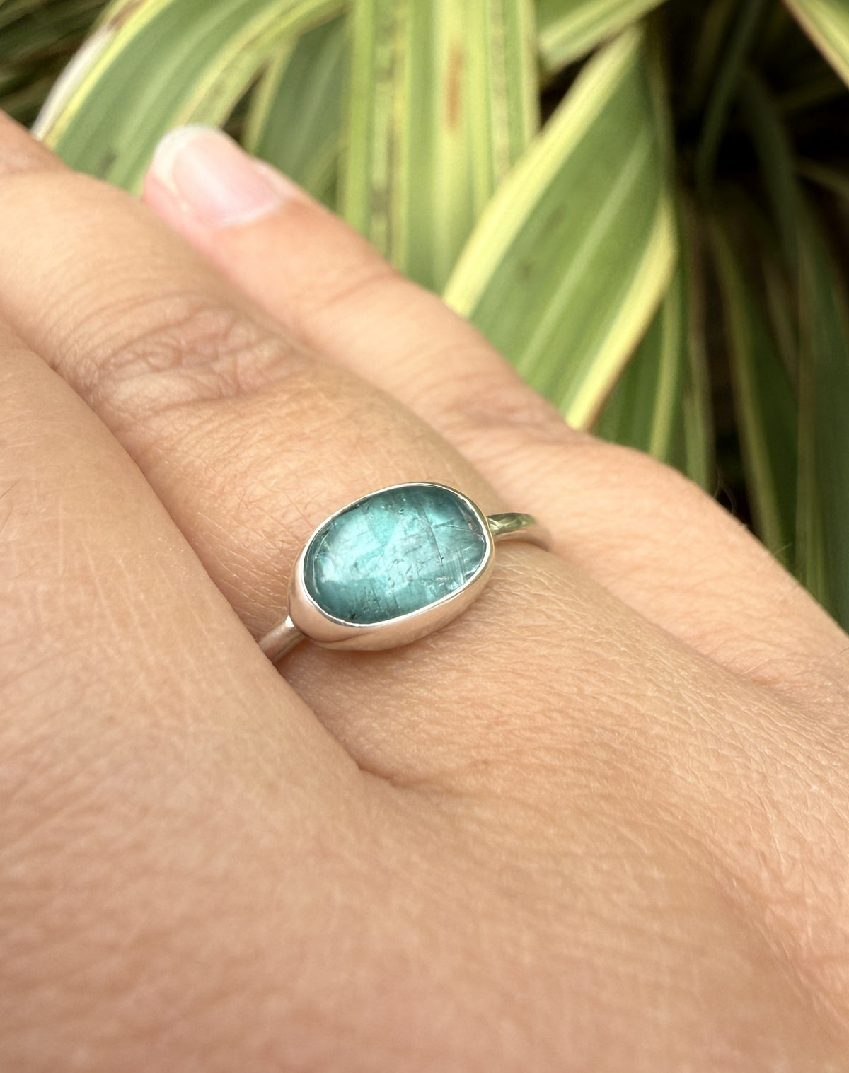 A silver ring with an oval, iridescent teal-blue stone worn on a person's finger, set against a background of green variegated houseplant leaves.