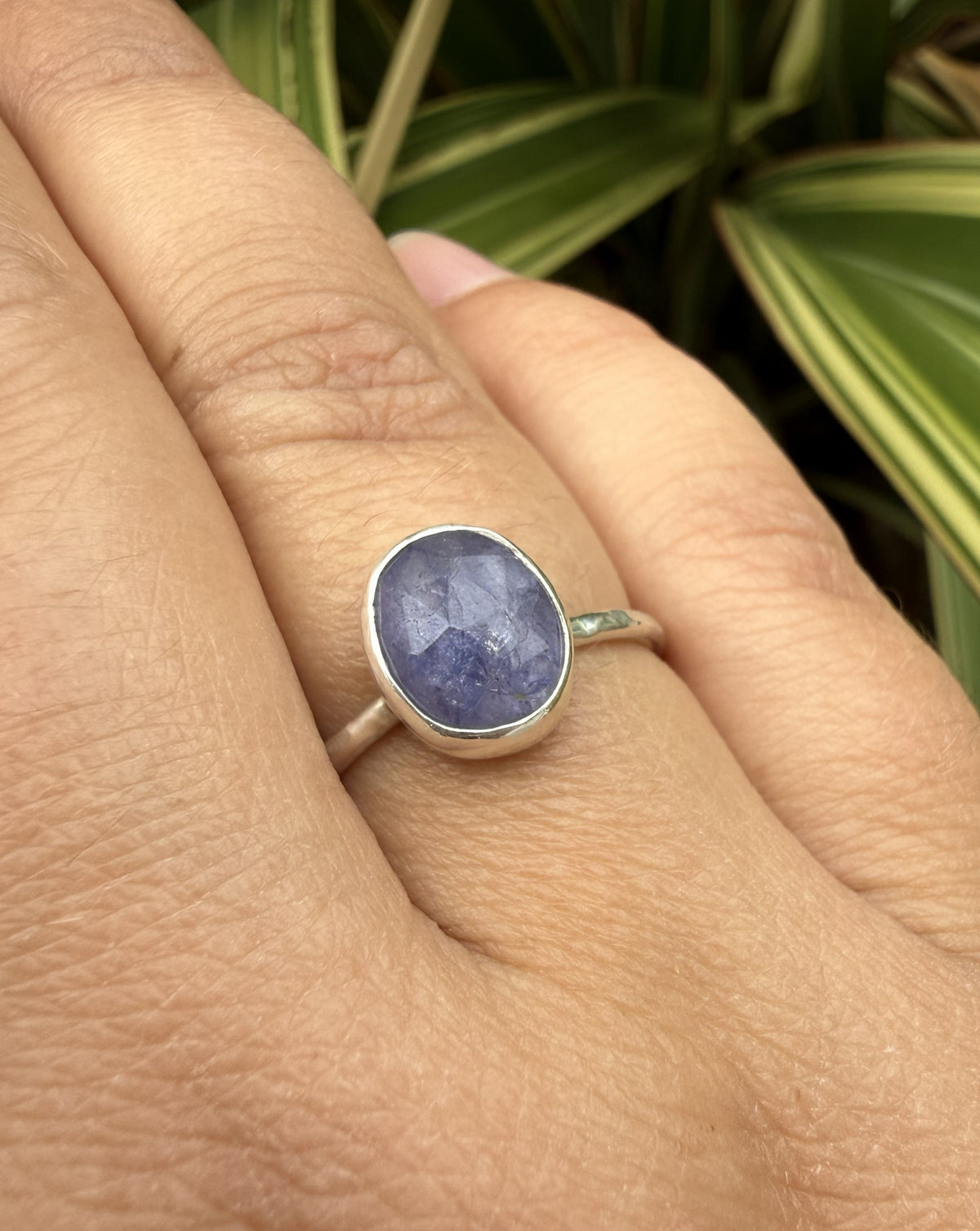 A silver ring with an oval cabochon tanzanite gemstone, shown worn on a person's ring finger with green variegated plant leaves in the background.