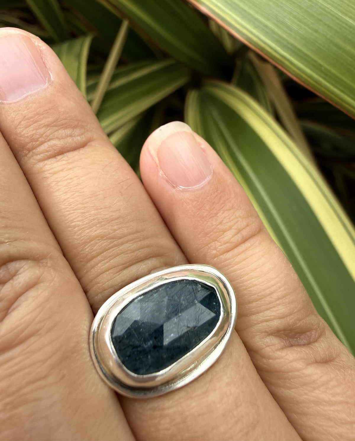 A silver ring with a dark blue faceted stone, worn on a person's finger with green variegated plant leaves in the background.